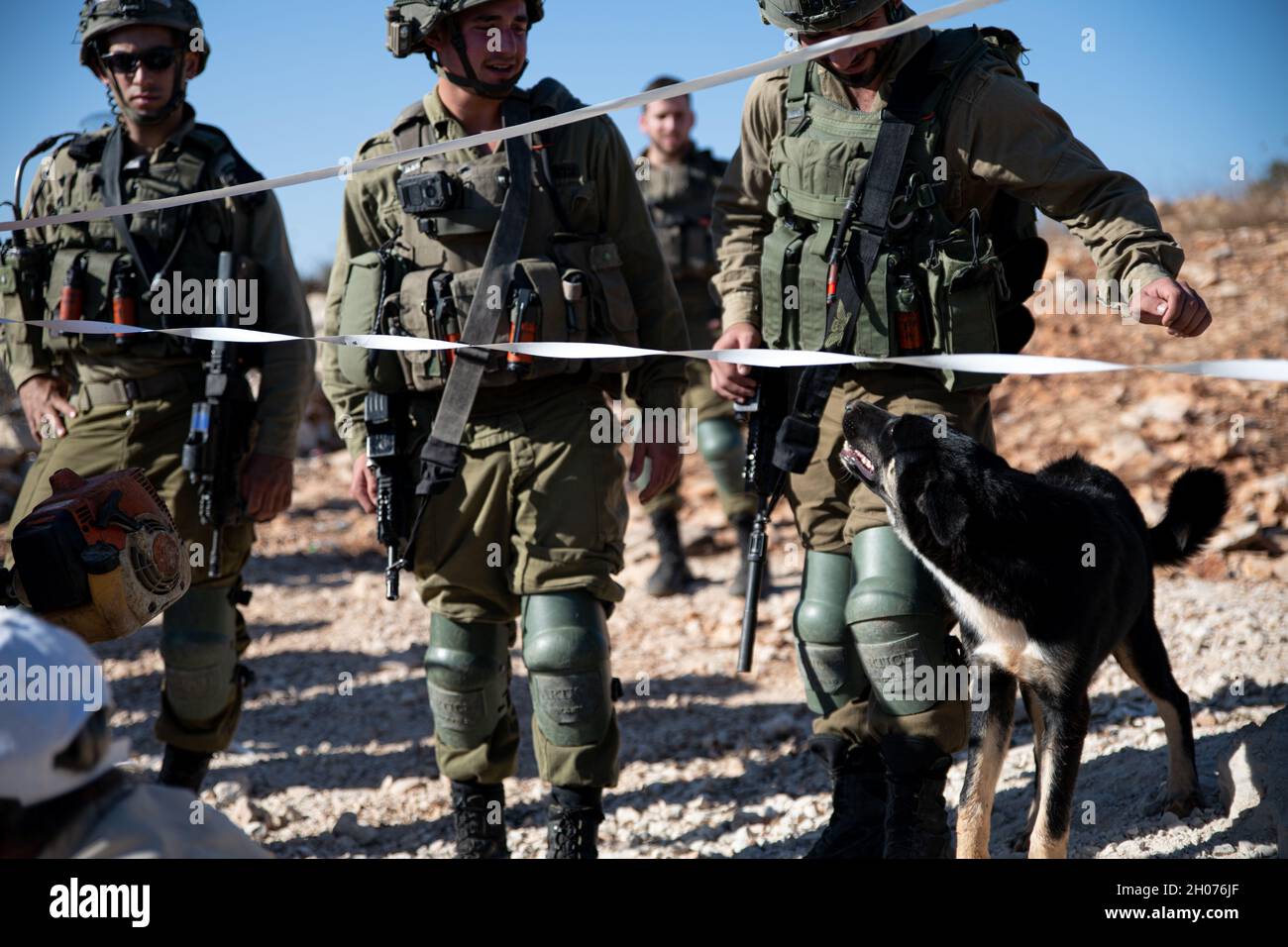 Les soldats des forces de défense israéliennes empêchent les habitants et les militants d'accéder aux plantations d'olives pendant la saison des récoltes.La plantation à la périphérie de la ville de Salfit a été annexée l'année dernière à un nouvel avant-poste juif - "AVI View Farm", bien que les Pléstins détiennent des actions terrestres pour la terre.Au cours d'une tentative de briser la ligne blanche de zonage d'une zone militaire fermée dans les plantations, l'armée a utilisé des grenades lapiantes et arrêté trois activistes.Salfit, Cisjordanie, le 11 octobre 2021.(Matan Golan/Alay Live News) Banque D'Images