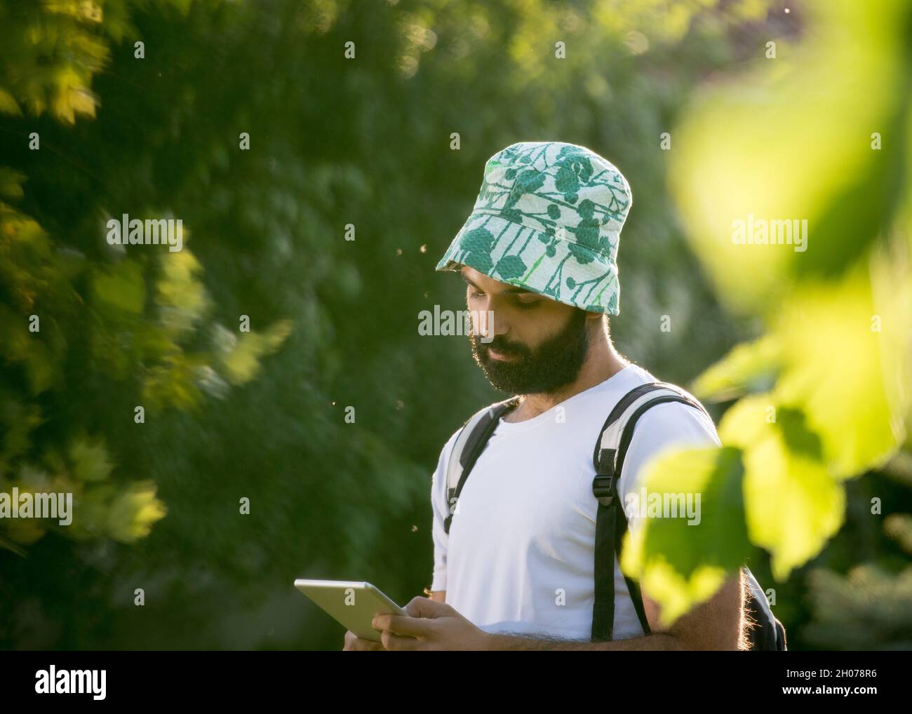 Jeune homme attrayant avec la barbe randonnée dans la forêt avec sac à dos sur les épaules et regardant la tablette Banque D'Images