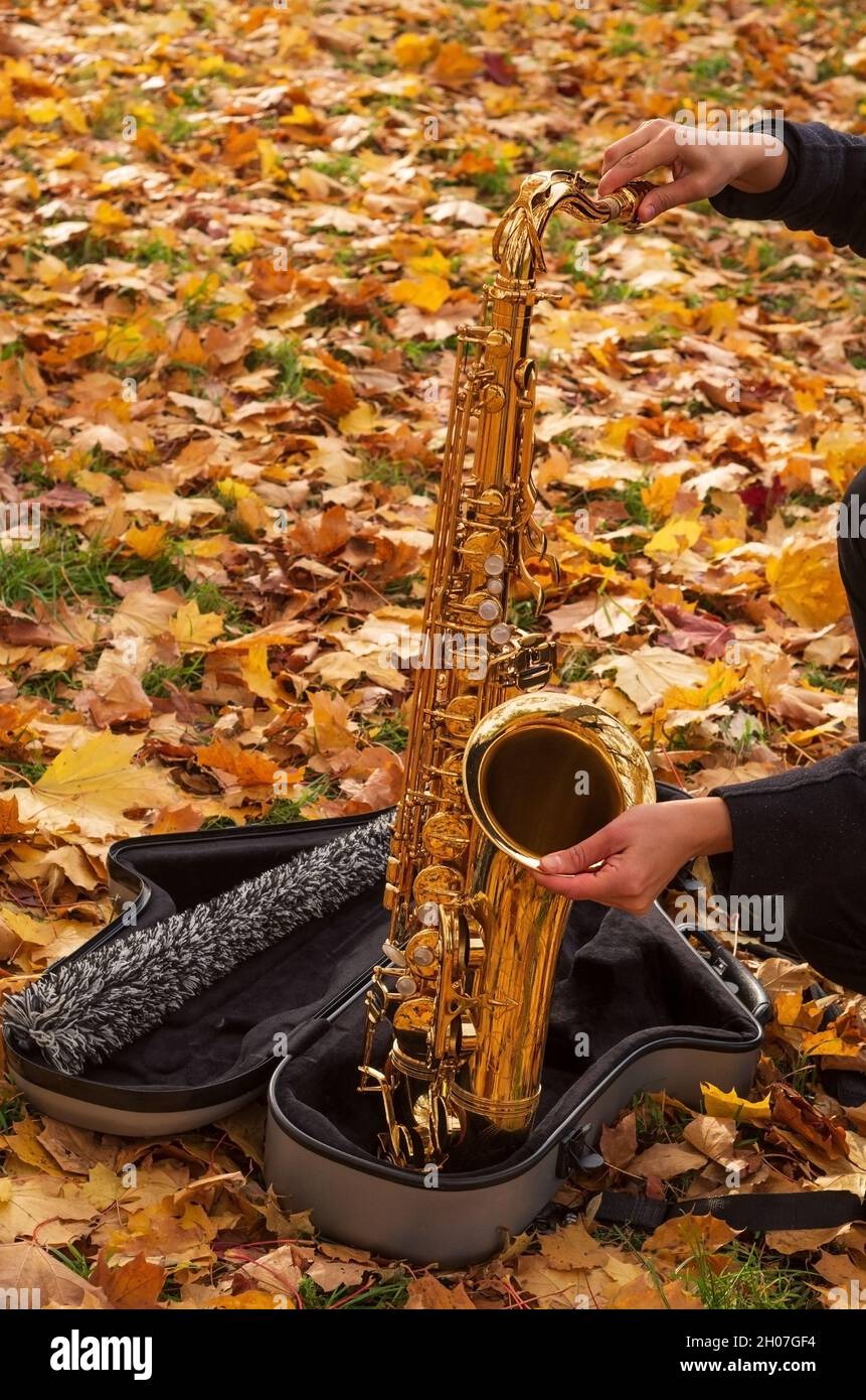 Une musicienne-fille chante un saxophone.Gros plan d'un saxophone doré dans  un cas sur fond de feuilles jaunes Photo Stock - Alamy