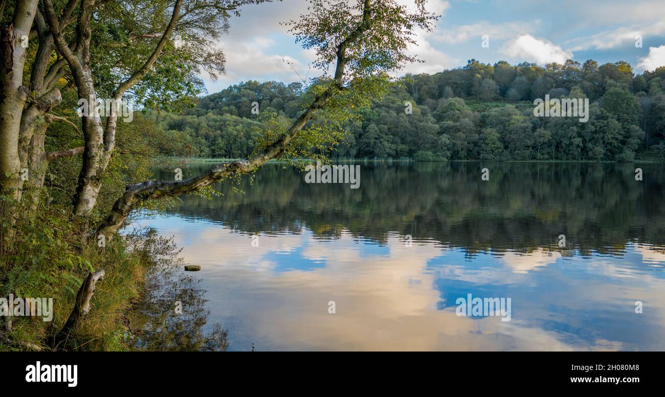 Gormire Lake, à gauche de la dernière période glaciaire, dans le nord du Yorkshire, en Angleterre, au Royaume-Uni Banque D'Images