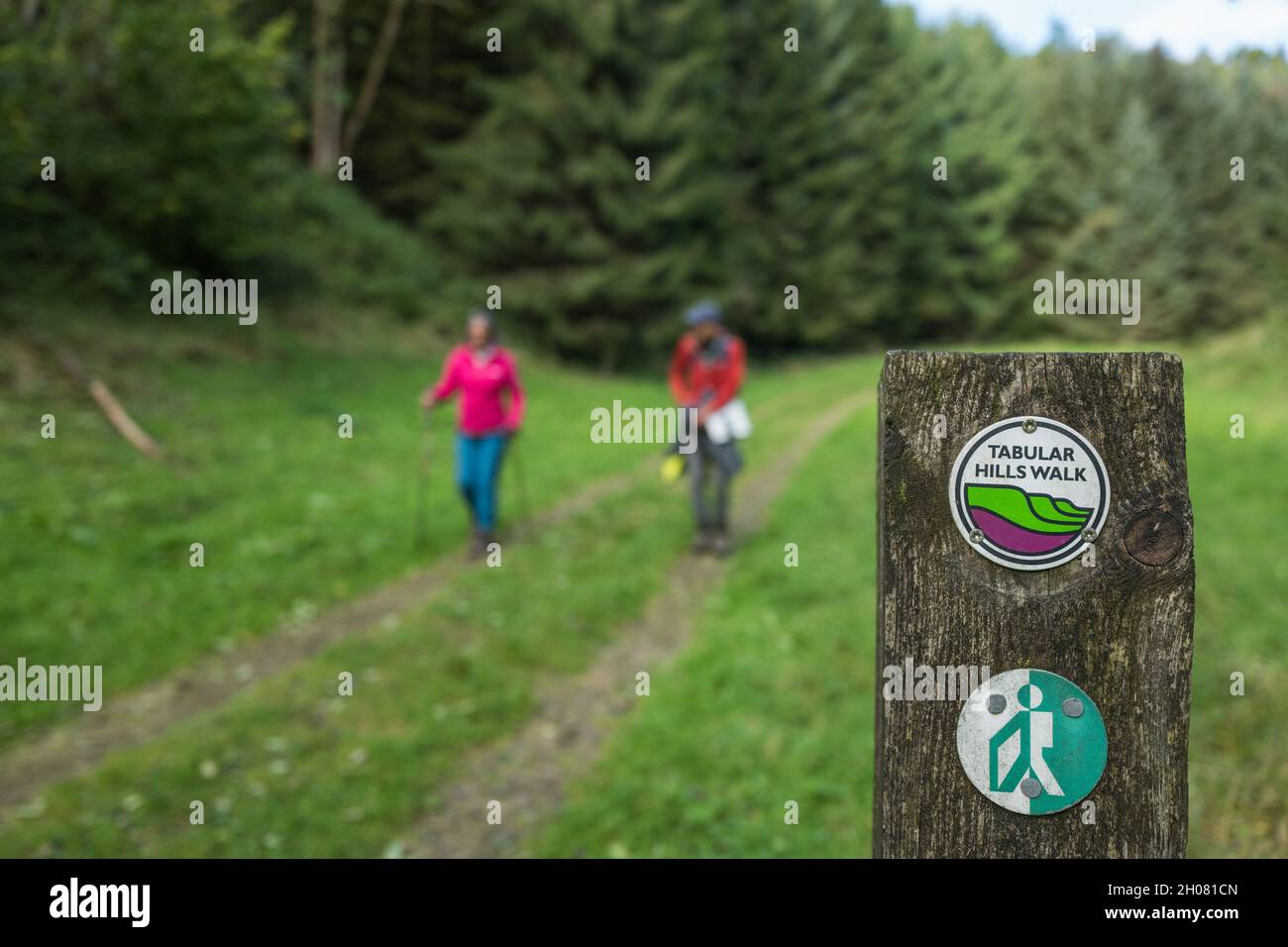 Marcheurs qui marchent sur le pont nord de York Moors, au-dessus de Helmsley, Yorkshire, Angleterre, Royaume-Uni Banque D'Images