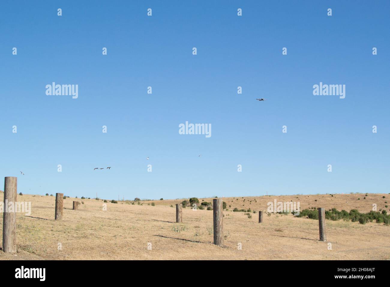 Petit avion et oiseaux volant au-dessus de Pole Field - grille de poteaux tronqués en bois Banque D'Images