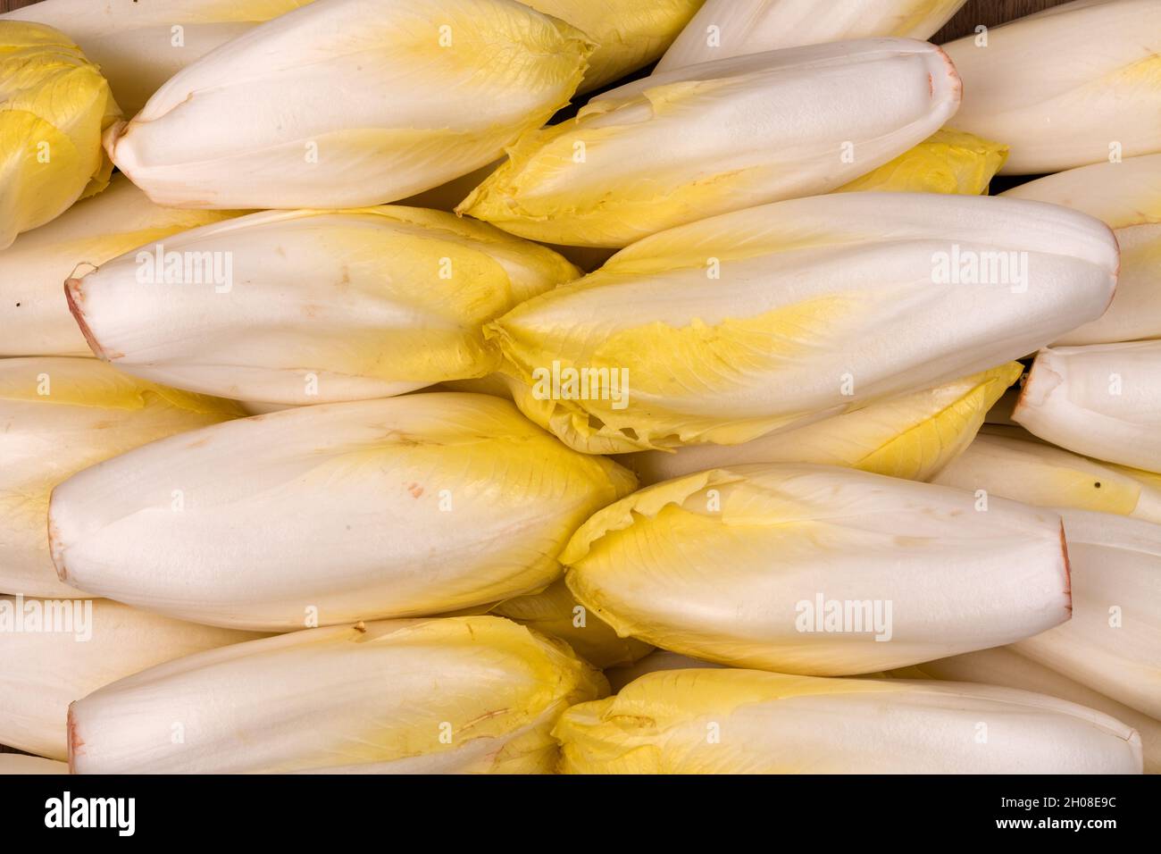 Des endives fraîches comme une nourriture verte de fond Banque D'Images