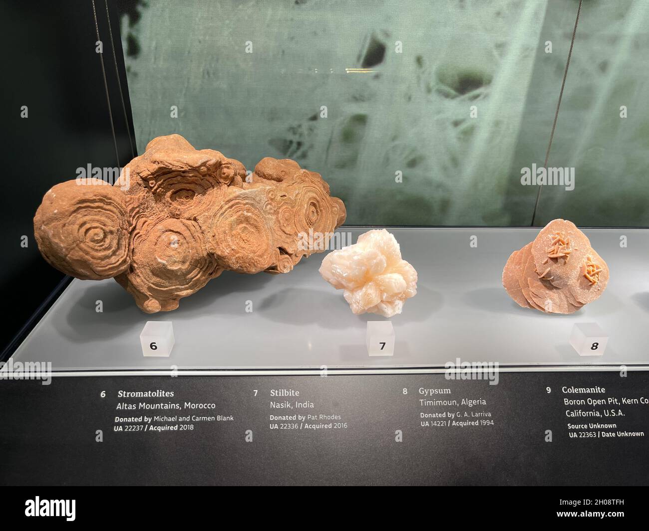 Pierres précieuses, minéraux et pierres anciennes exposées dans un coffret en verre au musée. Banque D'Images