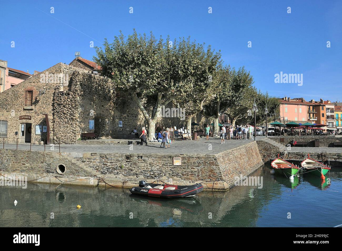 Collioure est située dans les Pyrénées orientales, dans la région occitanie le long de la côte de la Méditerranée, en France Banque D'Images