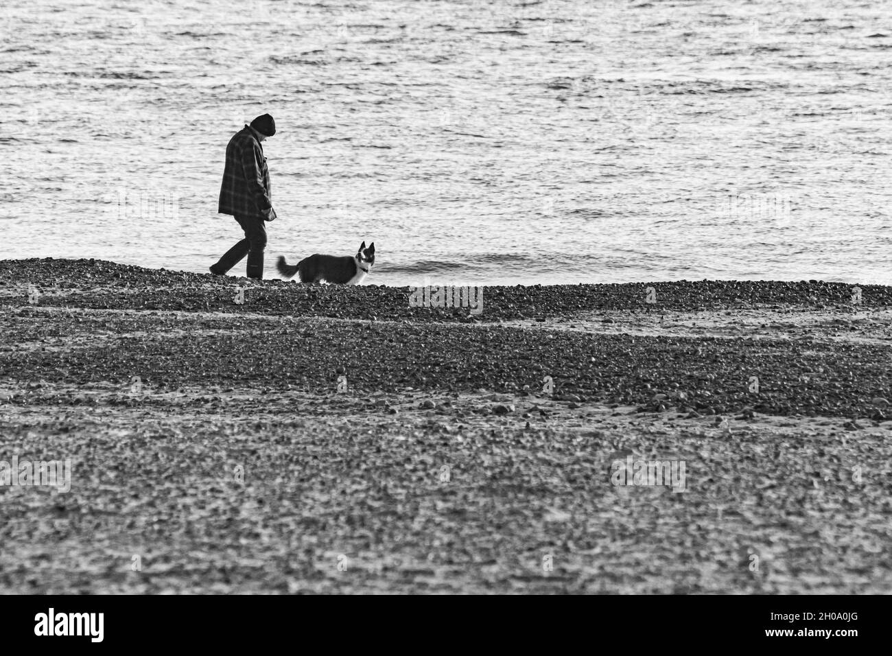 Homme chien de marche sur South Beach à Lowestoft Banque D'Images