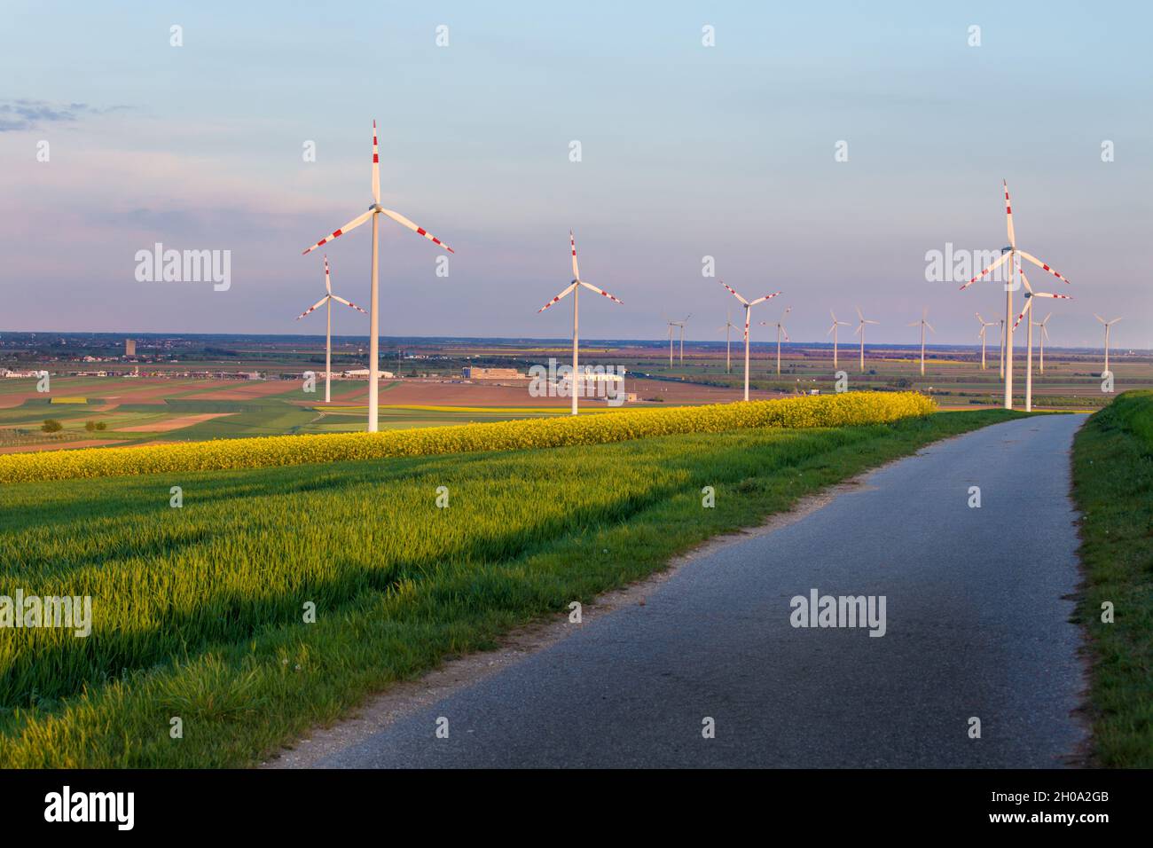 Parc éolien dans les champs de colza jaune au printemps.Concept des sources d'énergie renouvelables Banque D'Images