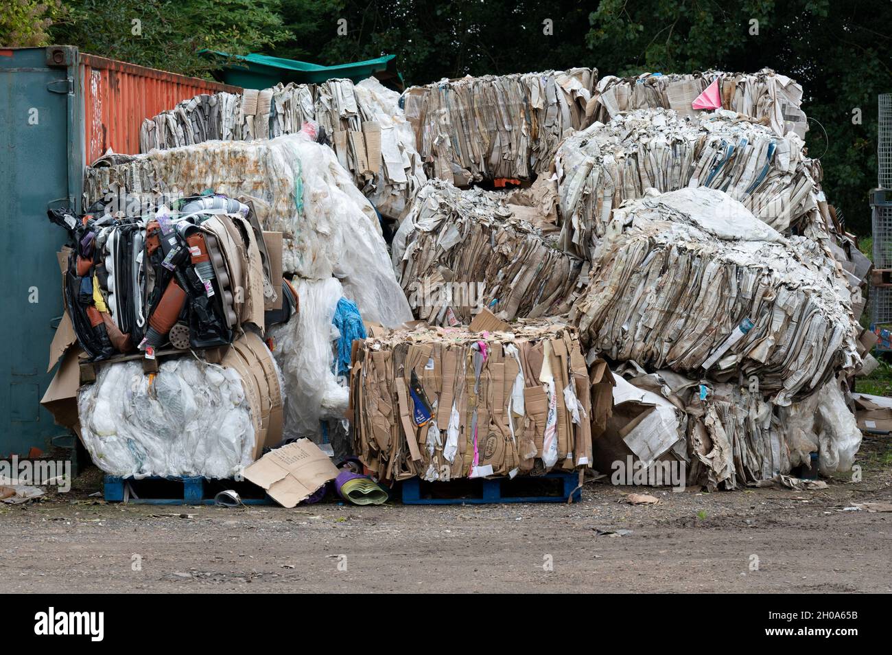 Déchets de papier et de carton Banque D'Images