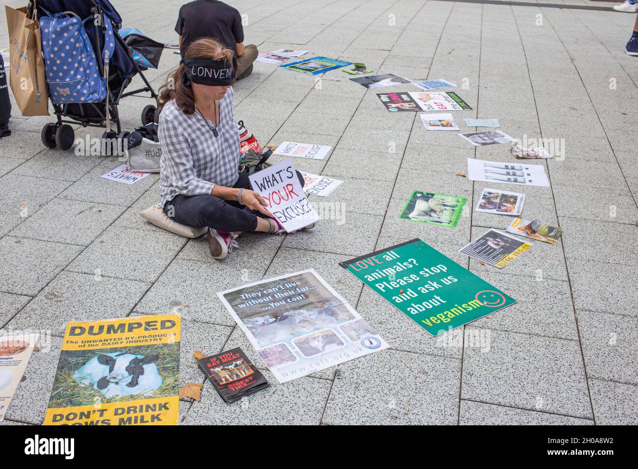 Un militant des droits des animaux en aveugle s'est assis sur le trottoir du centre-ville de Cardiff, au pays de Galles, entouré d'affiches de campagne. Banque D'Images