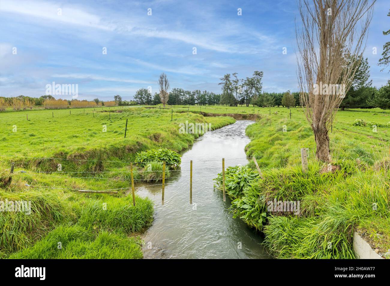 Ruisseau Mangaone dans la zone rurale d'Otaki en Nouvelle-Zélande Banque D'Images