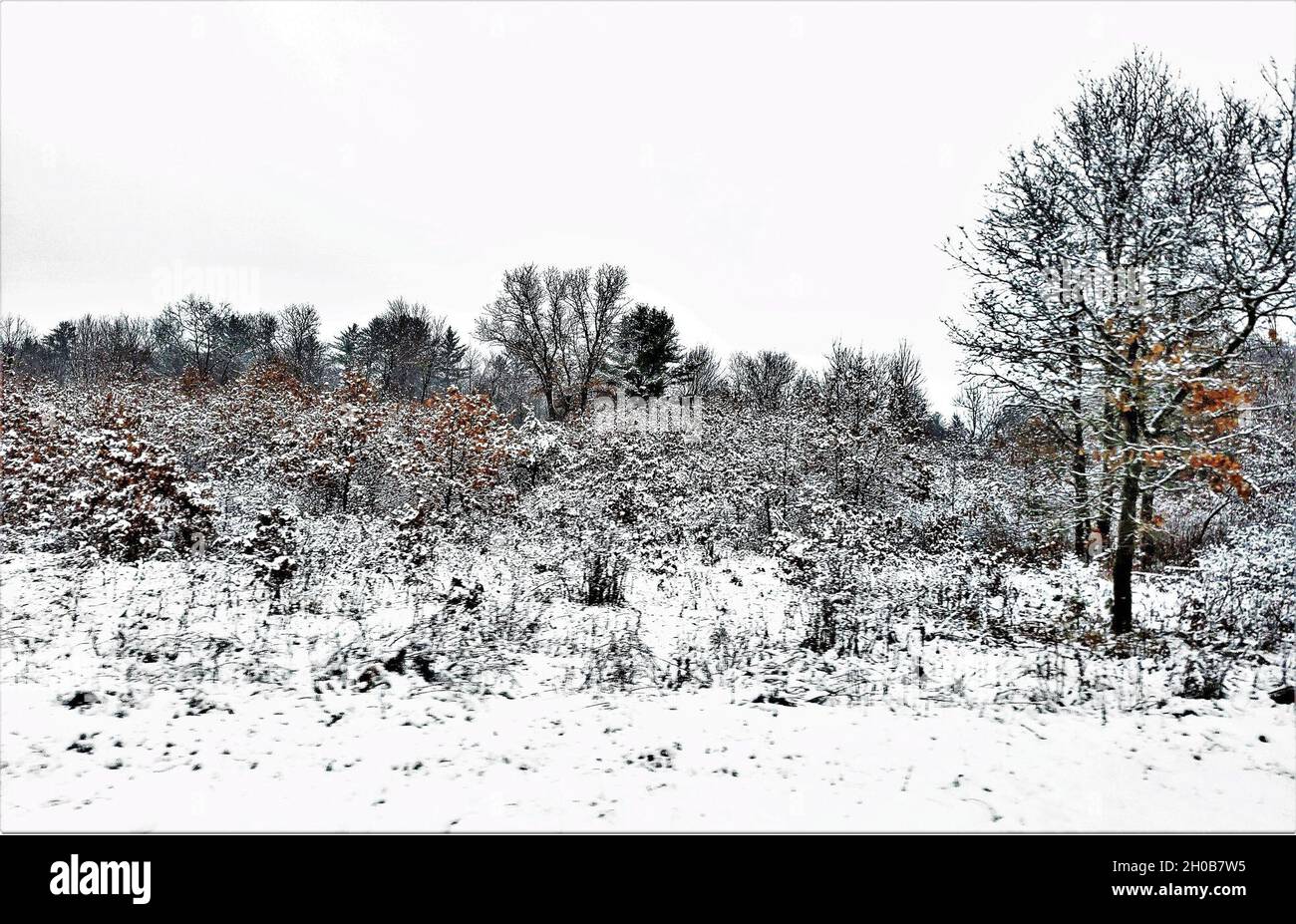 Une zone forestière du poste est montrée le 15 janvier 2021, après une neige fraîche à fort McCoy, Wisconsin fort McCoy et Monroe County, Wisconsin, moyenne de 42 pouces de neige chaque année.Du début à la mi-janvier 2021, l'installation a reçu près d'un pied de neige.Situé au cœur du Midwest supérieur, fort McCoy est la seule installation de l'armée américaine dans le Wisconsin.L'installation a fourni un soutien et des installations pour la formation sur le terrain et en classe de plus de 100,000 militaires de tous les services presque chaque année depuis 1984.Pour en savoir plus sur fort McCoy, consultez le site https://home.army.mil/mccoy, sur FAC Banque D'Images