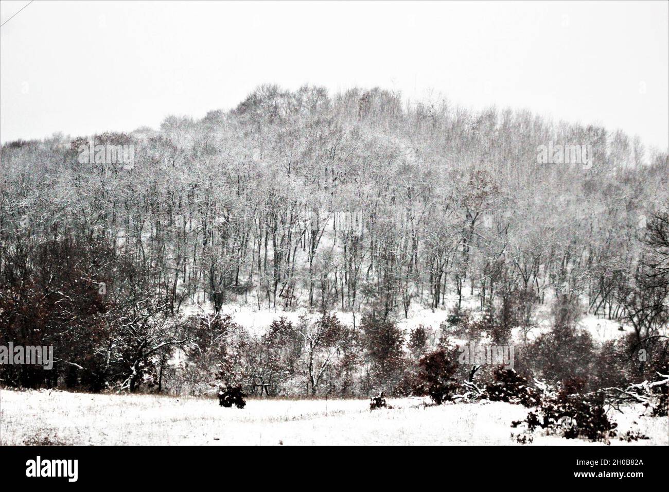 Une zone forestière du poste est montrée le 15 janvier 2021, après une neige fraîche à fort McCoy, Wisconsin fort McCoy et Monroe County, Wisconsin, moyenne de 42 pouces de neige chaque année.Du début à la mi-janvier 2021, l'installation a reçu près d'un pied de neige.Situé au cœur du Midwest supérieur, fort McCoy est la seule installation de l'armée américaine dans le Wisconsin.L'installation a fourni un soutien et des installations pour la formation sur le terrain et en classe de plus de 100,000 militaires de tous les services presque chaque année depuis 1984.Pour en savoir plus sur fort McCoy, consultez le site https://home.army.mil/mccoy, sur FAC Banque D'Images