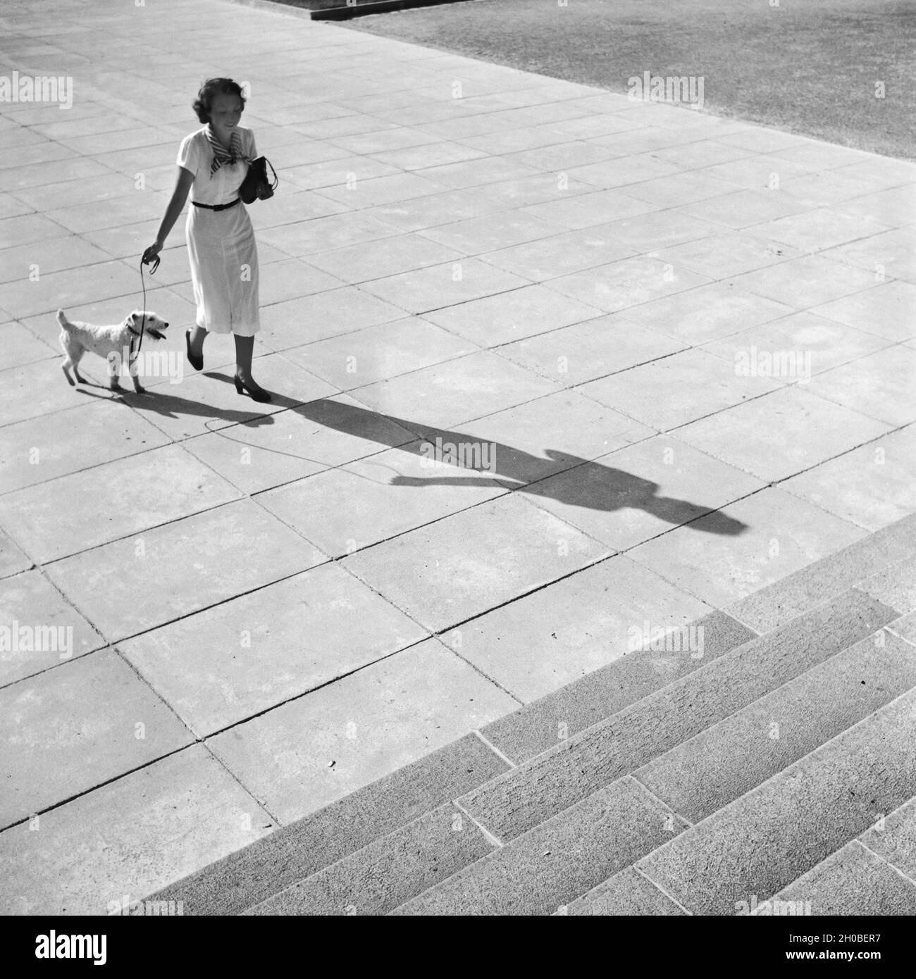 Frau mit einem Foxterrier auf einem Platz, Deutschland 1930er Jahre. Femme avec un fox terrier traversant un carré, l'Allemagne des années 1930. Banque D'Images