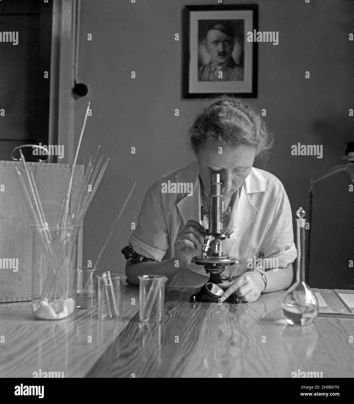 Eine/Landesinstituts Bienenforschung des für eine einzelne en Celle untersucht Biene Unter dem Mikroskop, Deutschland 1930 er Jahre. Une femme membre du personnel de l'abeille centre de recherche à celle de l'examen d'une seule abeille sous le microscope, l'Allemagne des années 1930. Banque D'Images