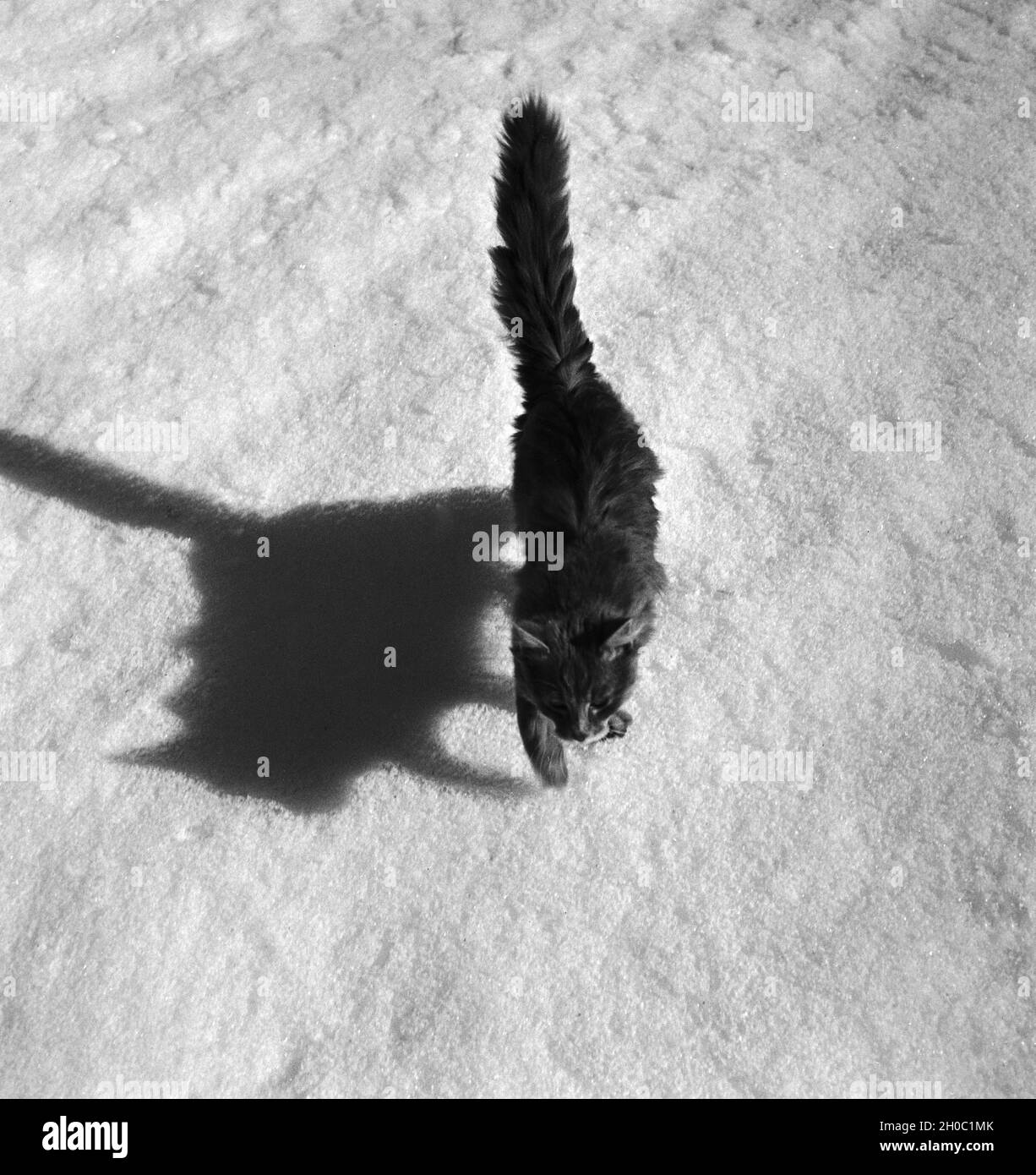 Ein Ausflug à ein Skigebiet in Bayern, Deutsches Reich 1930er Jahre. Un voyage d'une région de ski en Bavière, Allemagne, 1930. Banque D'Images