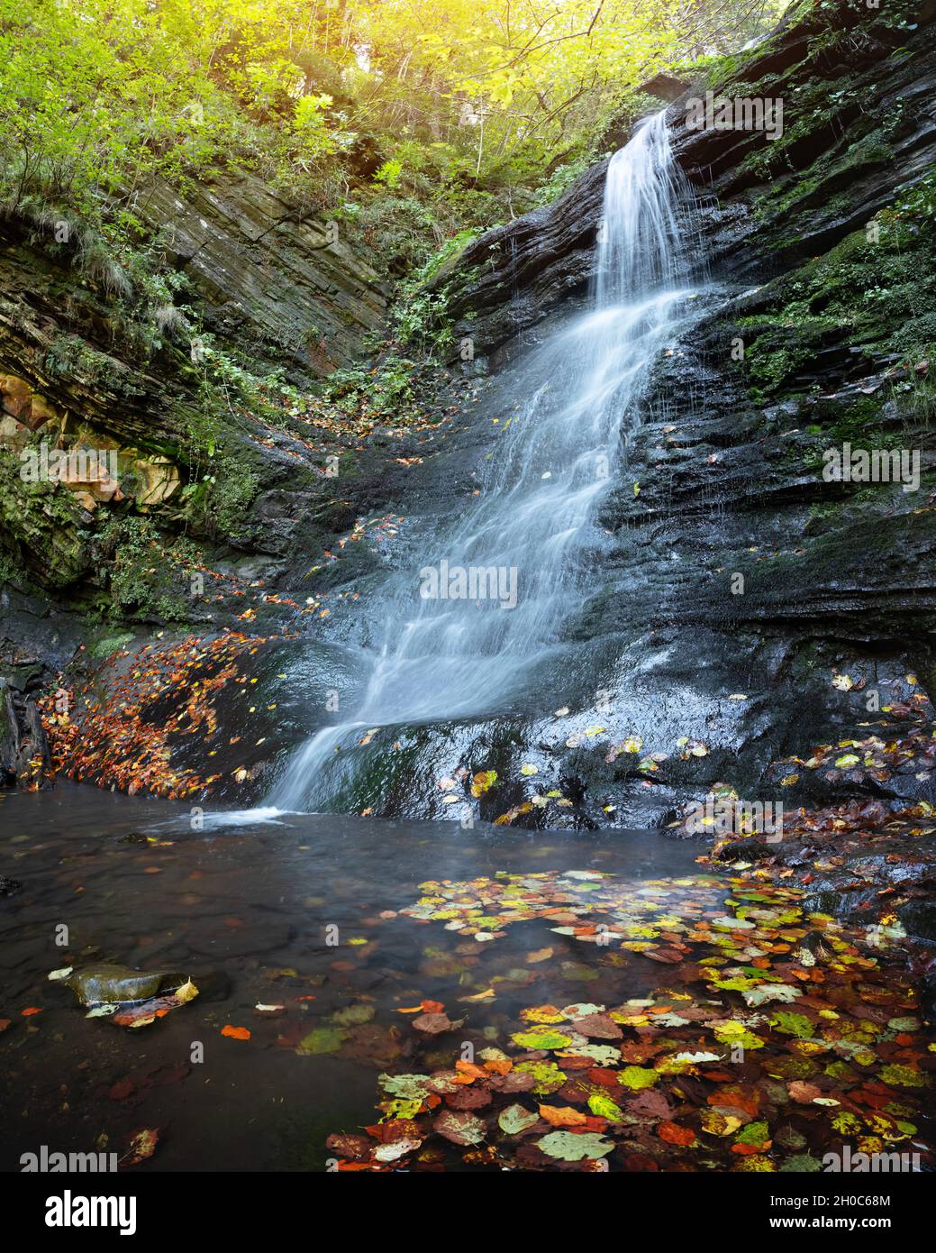 Belle cascade sur forêt d'automne.Flux d'eau et feuilles d'orange au premier plan.Arrière-plan de la nature.Photographie de paysage Banque D'Images