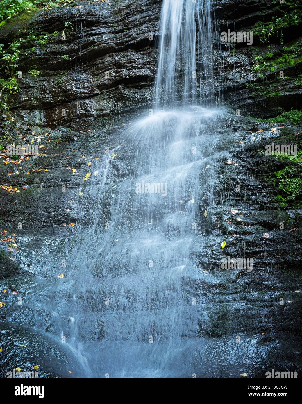 Belle cascade sur forêt d'automne.Ruisseau d'eau coulant et roche avec de la mousse.Arrière-plan de la nature.Photographie de paysage Banque D'Images