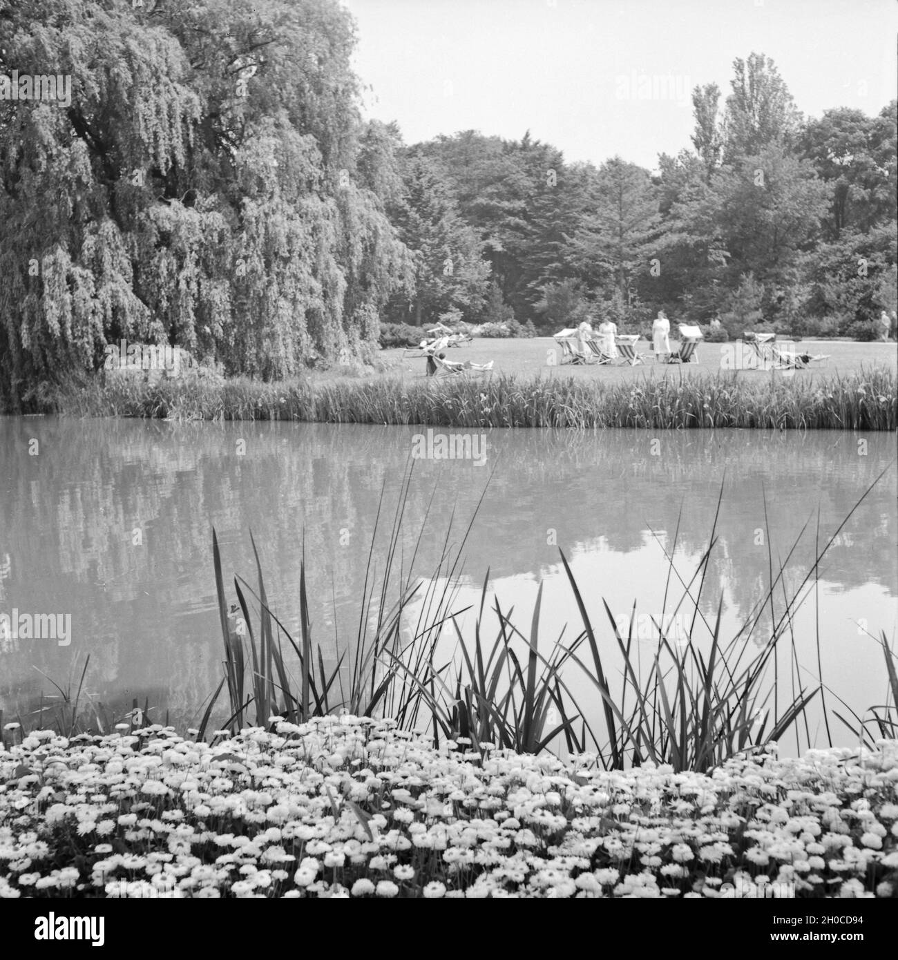 Kurgäste von im Kurpark Bad Pyrmont im Weserbergland, Deutschland 1930 er Jahre. Les clients du Spa les jardins de Bad Pyrmont à Weser Hills, Allemagne 1930. Banque D'Images