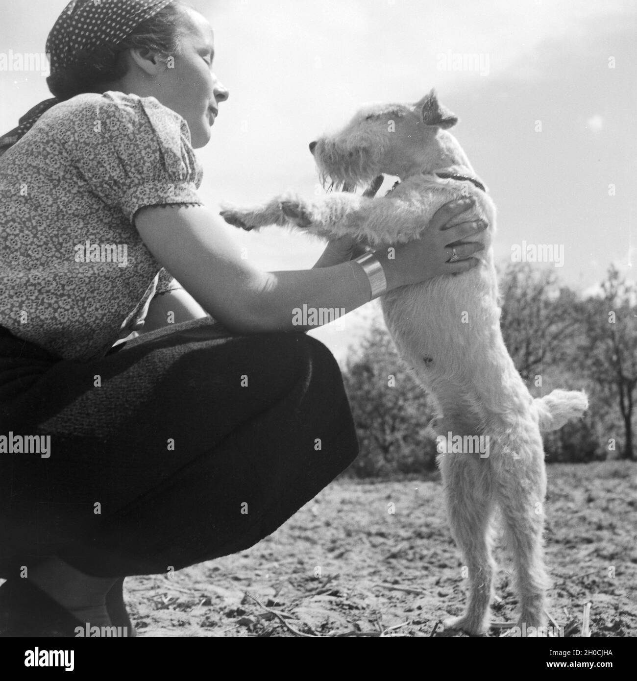 Eine junge Frau spielt mit einem Foxterrier, 1930er Jahre Deutschland. Une jeune femme jouant avec un fox terrier, Allemagne 1930. Banque D'Images