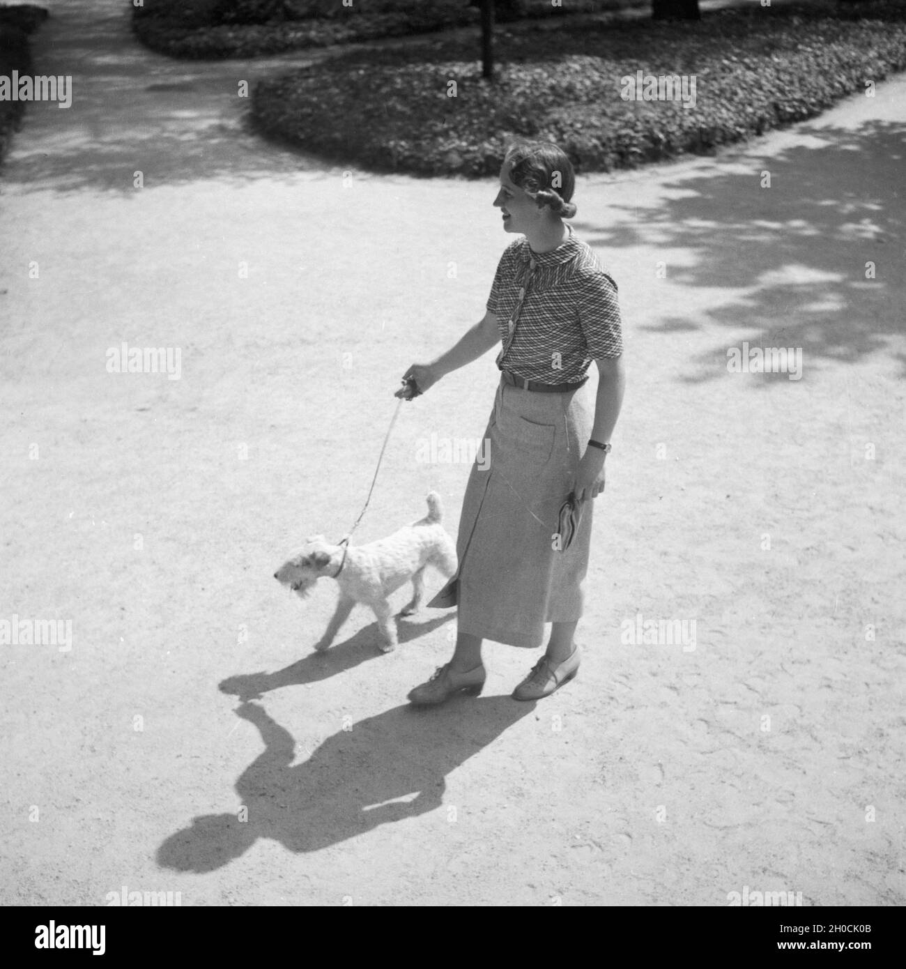 Eine junge Frau geht mit ihrem Foxterrier spazieren, Deutschland 1930 er Jahre. Une jeune femme marche son fox terrier, Allemagne 1930. Banque D'Images