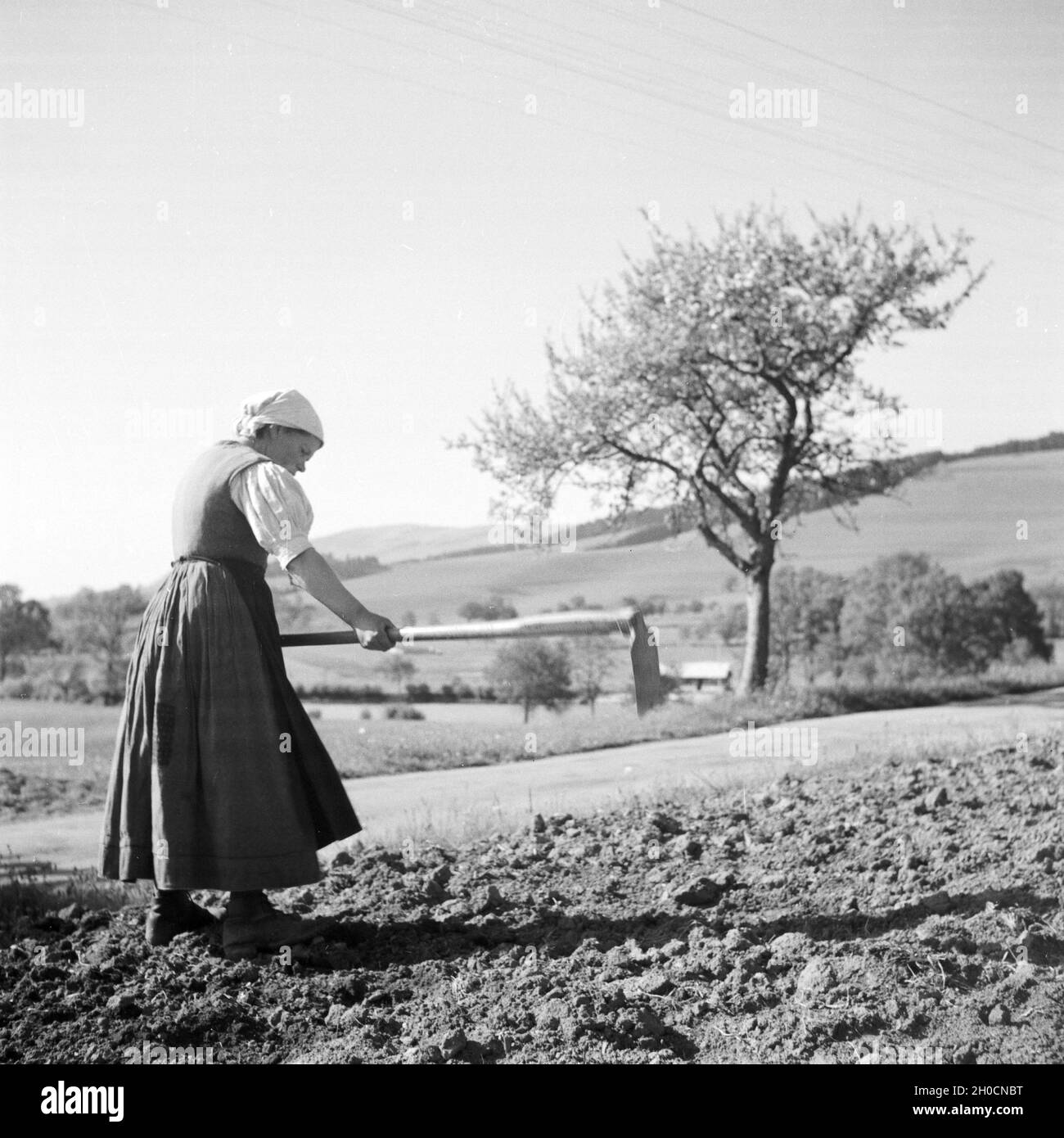 Bäuerin im Schwarzwald auf dem Feld, Deutschland 1930 er Jahre. Farm woman digging son domaine à Forêt Noire, Allemagne 1930. Banque D'Images