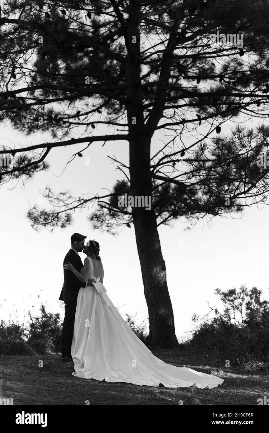 Un couple qui vient de se marier embrasse sur une forêt en niveaux de gris Banque D'Images