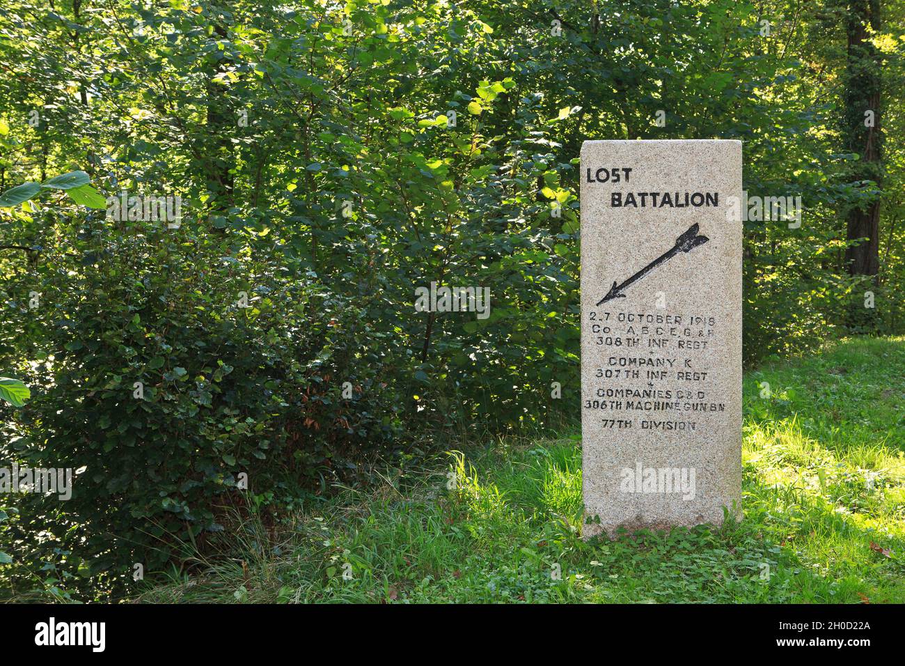 Le marqueur du bataillon perdu où la 77e division a été isolée en octobre 1918 dans la forêt d'Argonne près de Binarville (Marne), en France Banque D'Images