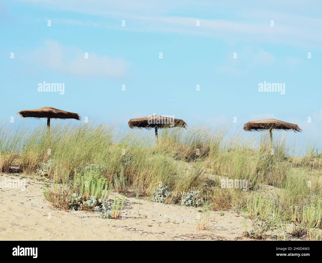 Une composition centrale de trois plages seules unbrellas.la photo est prise pendant l'été à Sinemorets, Bulgarie.C'était une belle journée sur la plage. Banque D'Images