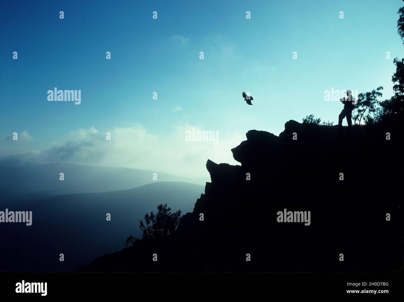 Photographe de l'âge de l'adolescence et silhouette de corbeau au sommet de Hawksbill Mountain Shenandoah National Park Banque D'Images