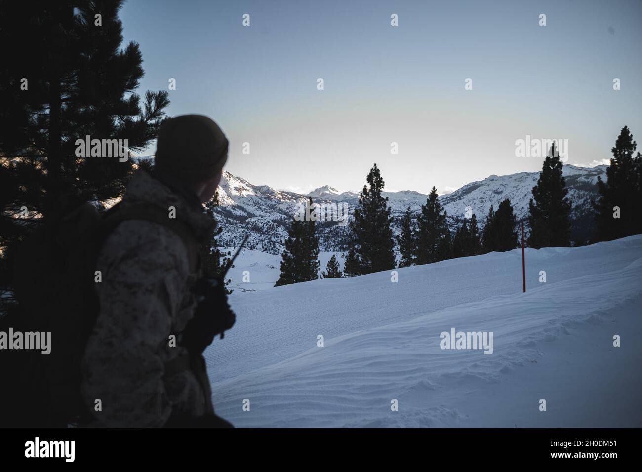 Le Colonel Daniel J. Wittnam, commandant du Marine corps Mountain Warfare Training Center, Bridgeport, Californie, regarde le parc national de Toiyabe pendant l'exercice d'entraînement en montagne (MTX) 2-21 le 3 février 2021.Le but de MTX est de préparer les Marines aux conditions météorologiques difficiles tout en améliorant leurs compétences en matière de guerre hivernale dans des environnements froids. Banque D'Images