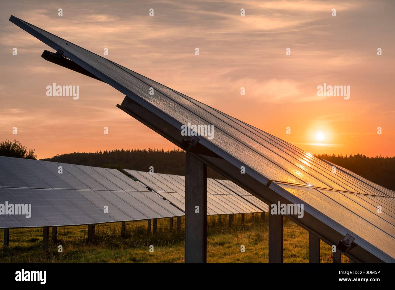 Le soleil se lève sur un ensemble de panneaux photovoltaïques dans un champ de Devon à l'aube à la fin de l'été. Banque D'Images