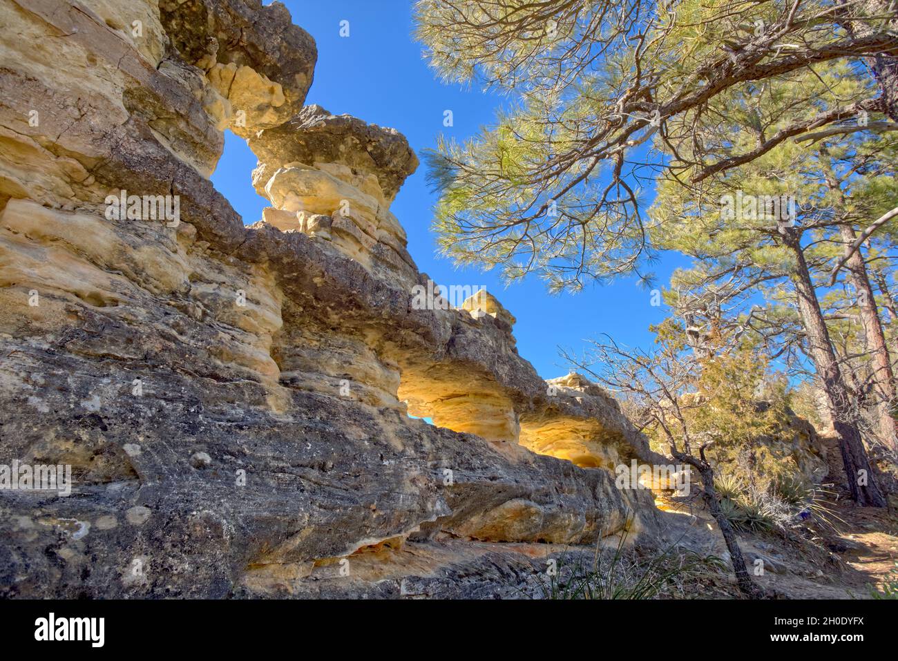 Une rangée d'arches naturelles le long de la piste téléphonique au nord de Sedona AZ a appelé les trous PEP. Banque D'Images