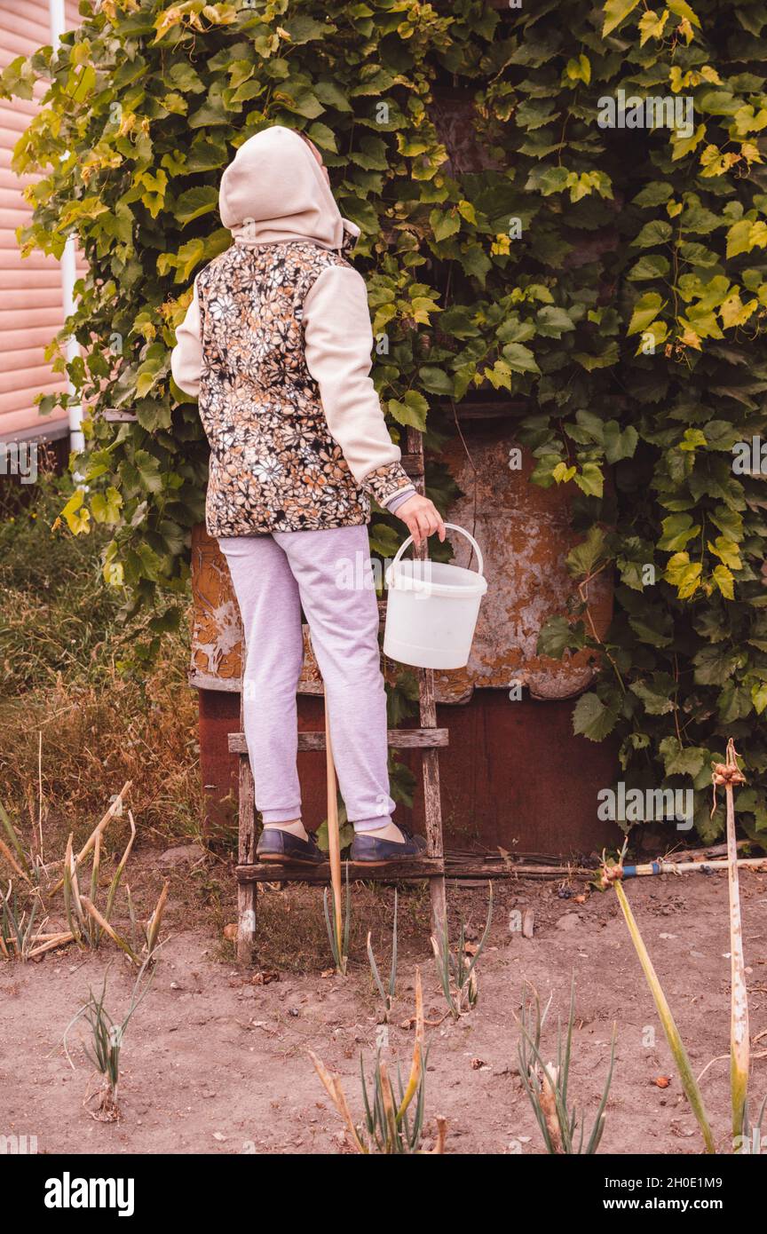 Une femme en vêtements chauds avec un seau monte les escaliers pour cueillir des raisins Banque D'Images