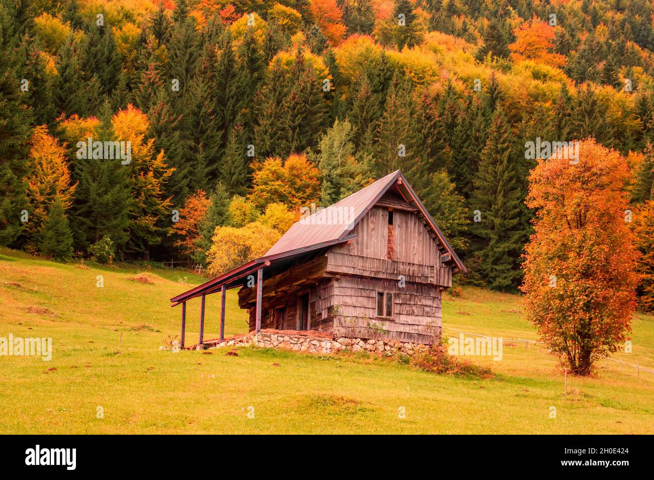 Paysage rural d'automne dans les Carpathian Mountains Banque D'Images