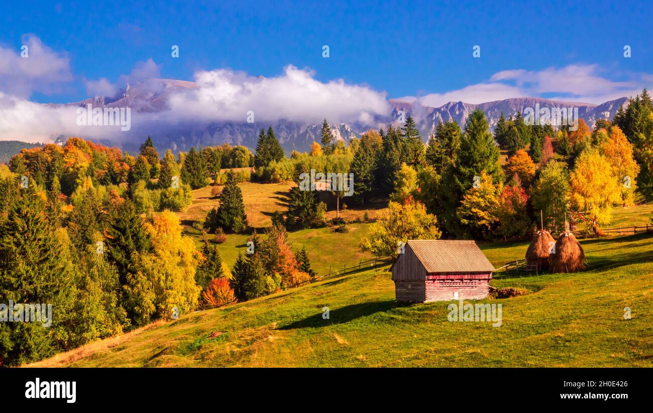 Paysage rural d'automne dans les Carpathian Mountains Banque D'Images