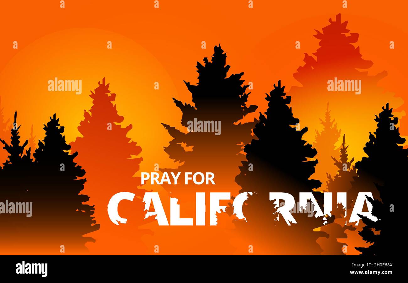Vecteur de feu de forêt dans l'État de Californie, États-Unis. Arbres sur le point de brûler dans rouge, orange feu de forêt. Feu de crique dans la forêt. Priez pour la Californie Illustration de Vecteur