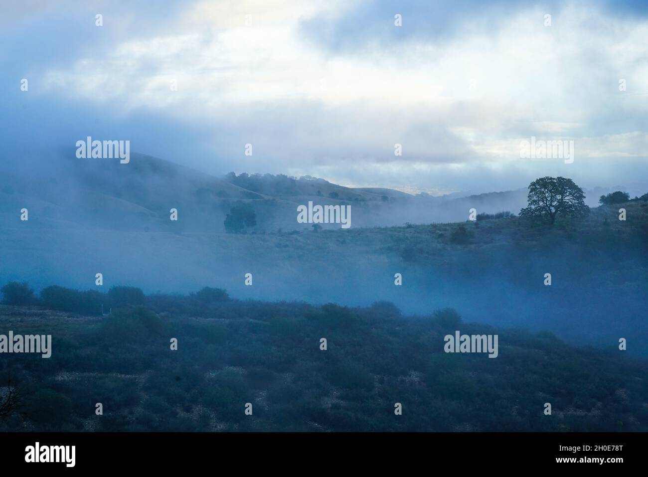 Collines brumeuses de Paso Robles, Californie Banque D'Images