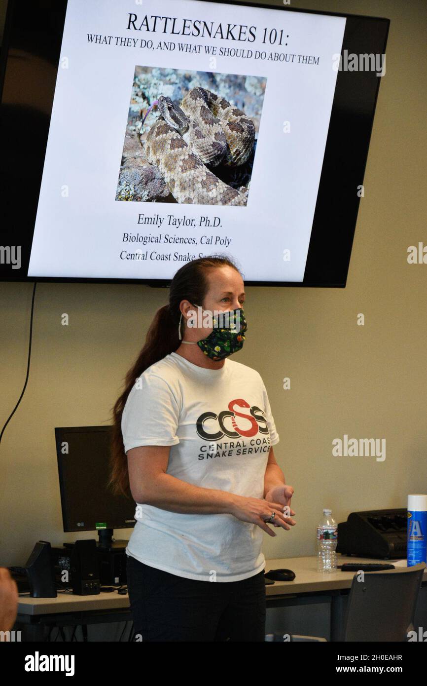 Une classe sur la manipulation, le déplacement et la compréhension des crotales a été donnée dans la salle de classe de la Direction des services d'urgence de fort Hunter Liggett, Californie, le 8 février 2021.Le Dr Emily Taylor, professeur d'herpétologie et de sciences biologiques à l'Université polytechnique de l'État de Californie (Cal Poly) à San Luis Obispo, a enseigné à la classe et a guidé les étudiants avec une formation pratique sur la capture et le déplacement en toute sécurité d'un crotale vivant.Ils ont également eu la chance de toucher le serpent une fois que sa tête était en sécurité dans un tube.Ils ont reçu un certificat sur la manipulation sécuritaire d'un crotale. Banque D'Images