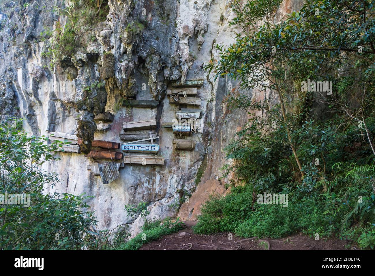 Cercueils suspendus traditionnels à Sagada, province de montagne, Philippines Banque D'Images