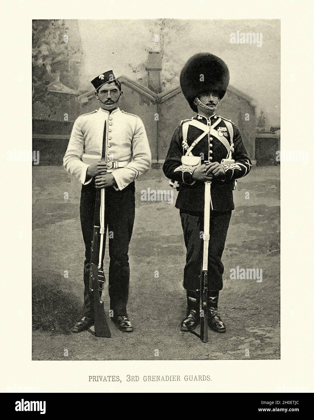 Photogrtaphe vintage des soldats de l'armée britannique, Privats 3e Grenadier Guards, uniforme militaire, victorien 19e siècle Banque D'Images