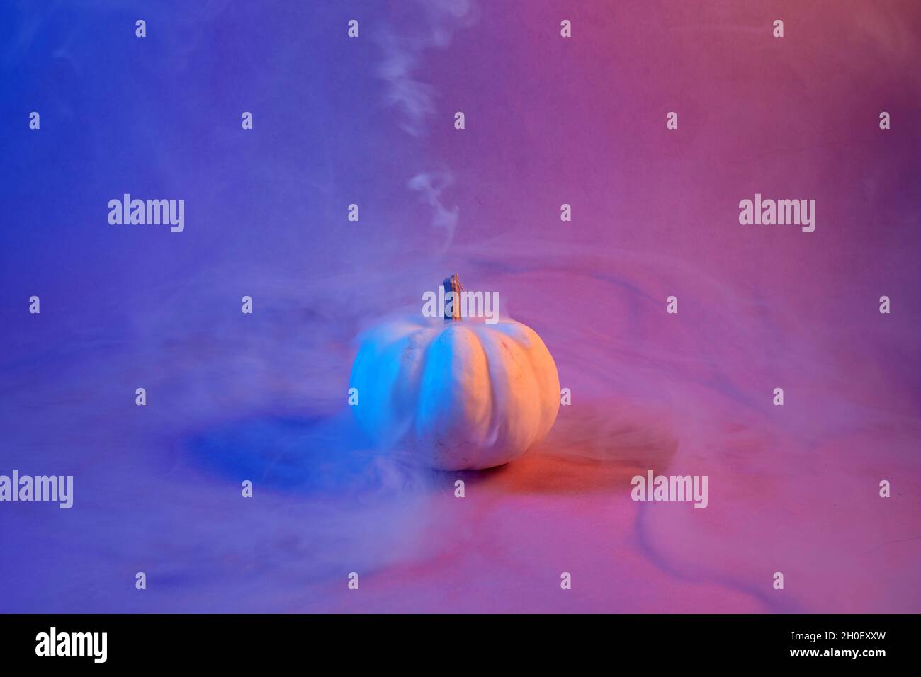 Citrouille d'Halloween avec fumée et lumière néon sur fond pastel.Concept minimal. Banque D'Images