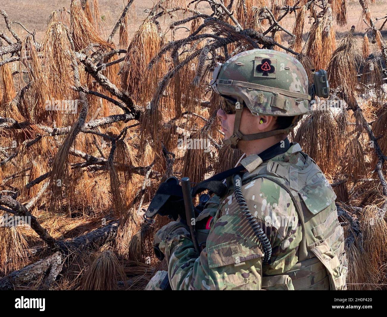 Sergent d'état-major de l'armée américaineErick Colon, Chef de brigade, Able Company, 1er Bataillon, 506e Régiment d’infanterie « Red Currahee », 1re Brigade combat Team « Bastogne », 101e Division aéroportée (assaut aérien) regardant l’objectif avant de manœuvrer son escouade à fort Polk (Louisiane) lors d’un exercice d’incendie en direct le 21 février.Red Currahee a déployé plus de 203 soldats à l’appui de l’équipe de combat de la 3e Brigade, la rotation du Centre d’entraînement interarmées de préparation de la 82e Division aéroportée, afin de s’assurer que leur unité est bien formée et prête pour les opérations lorsque la nation le demande. Banque D'Images