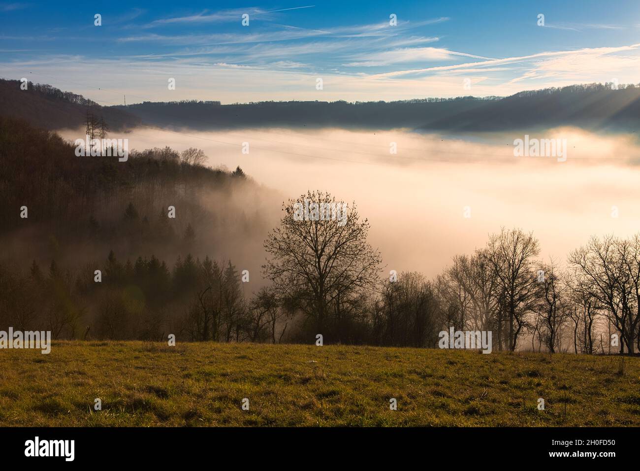 Magnifique paysage d'hiver pittoresque avec une vallée pleine de brouillard Banque D'Images