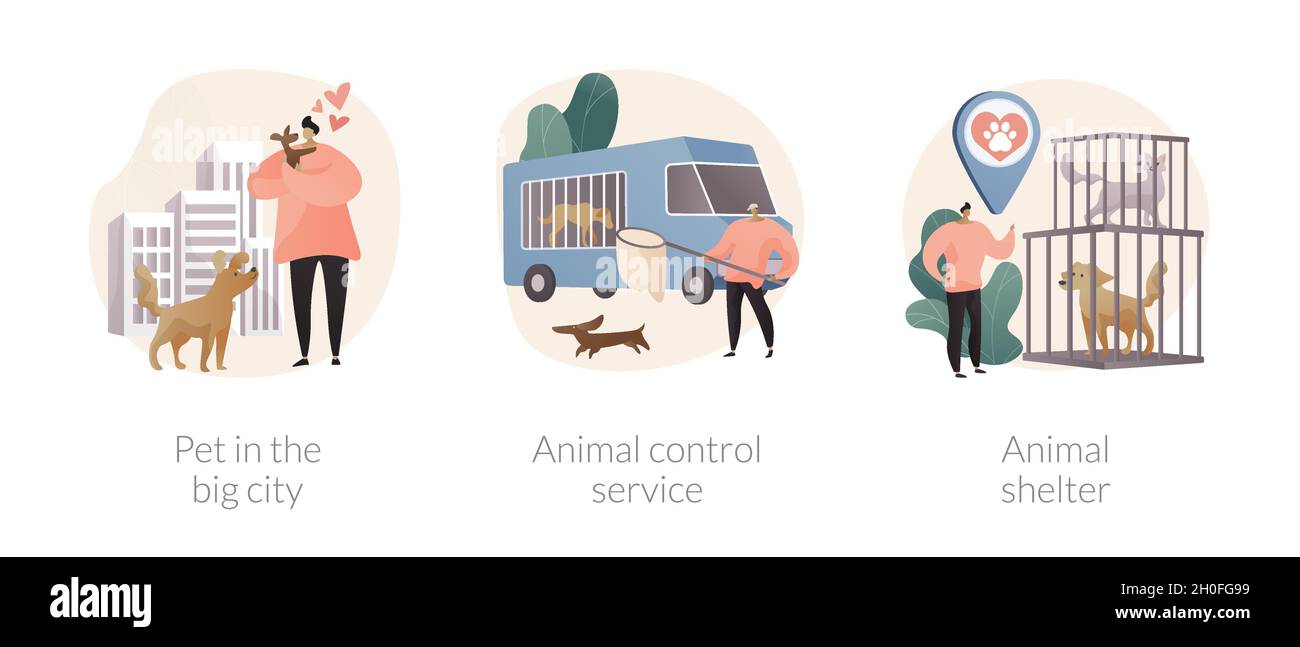 Animaux de compagnie urbains résumé concept illustrations vectorielles. Illustration de Vecteur