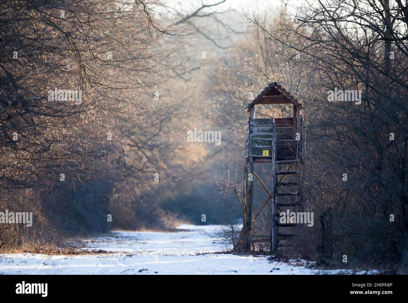 Tour de guet en bois dans la forêt en paysage d'hiver recouvert de neige Banque D'Images