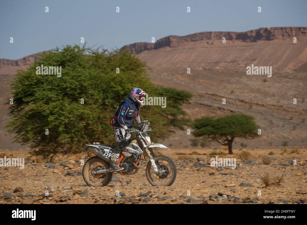 Zagora, Maroc, 12/10/2021, 259 Bradshaw Timothy (gbr), KTM EXC-F 500, action pendant le Rallye du Maroc 2021, du 8 au 13 octobre 2021 à Zagora, Maroc - photo Antonin Vincent / DPPI Banque D'Images