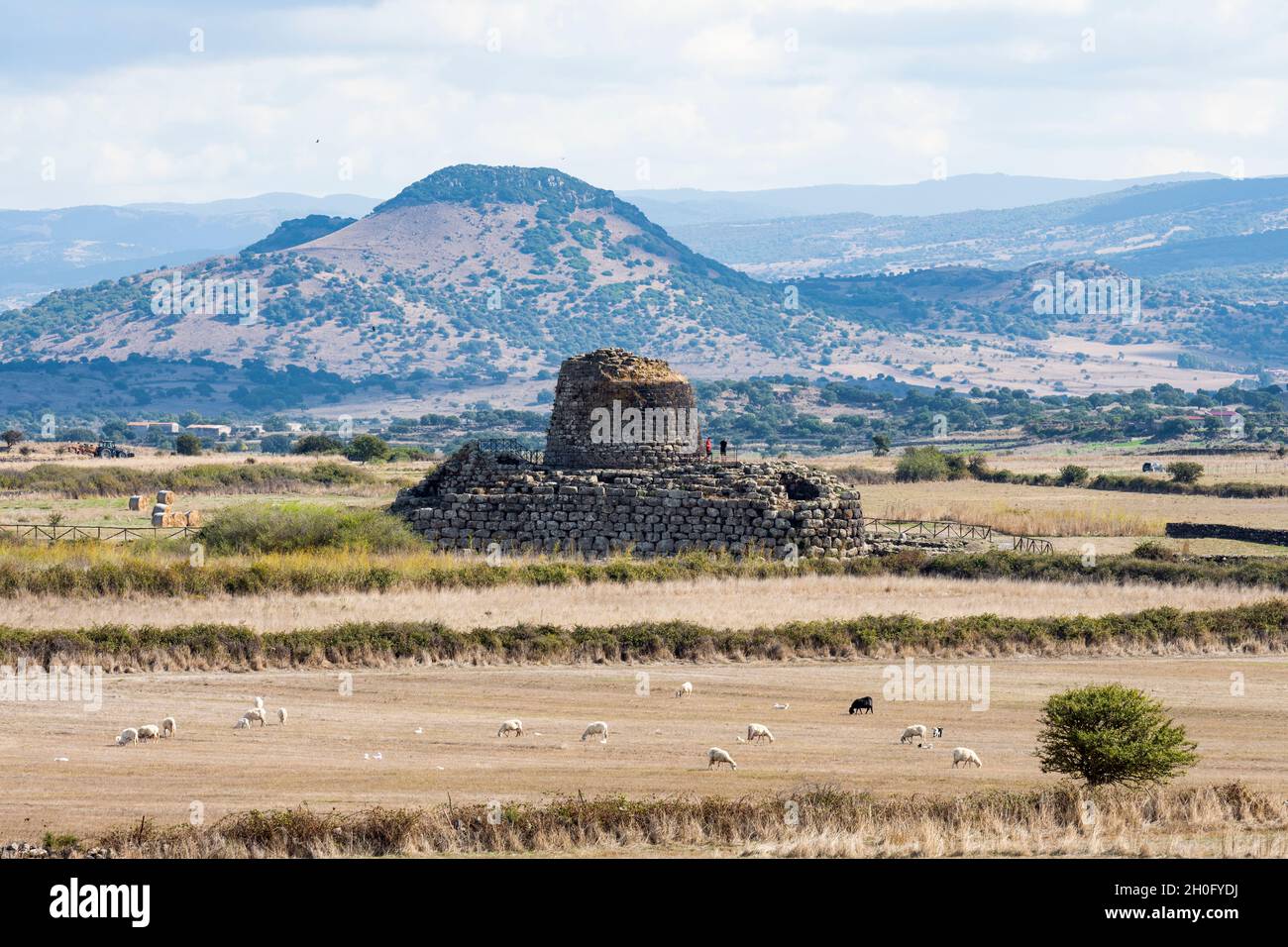 Paysage magnifique avec l'ancien Santu Antine Nuraghe et quelques moutons paître en premier plan. Banque D'Images