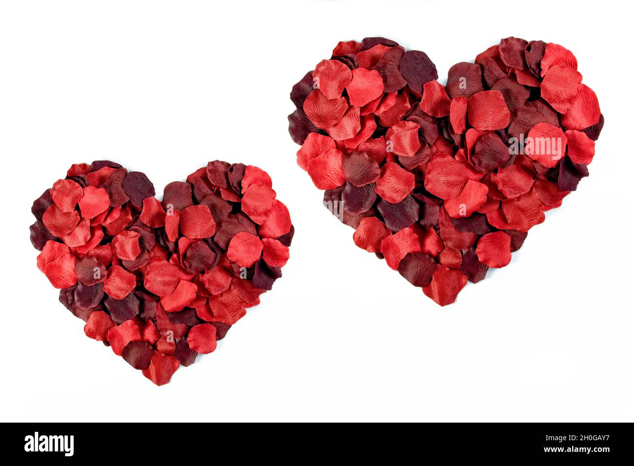 Coeur pétal rouge sur fond Uni Banque D'Images