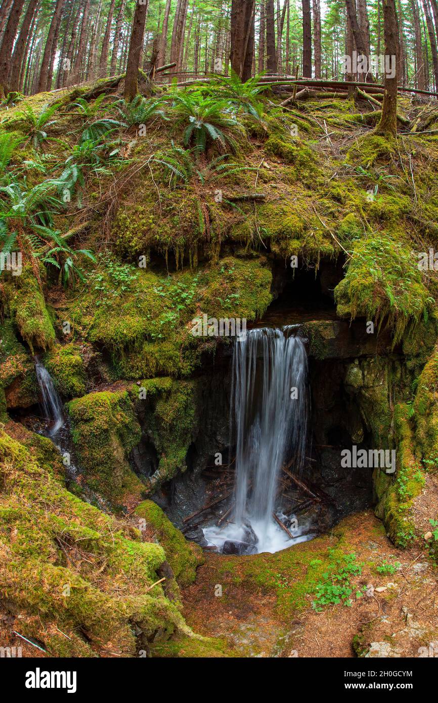 Circuit du lac Alice vers la fontaine Eternal Falls Banque D'Images