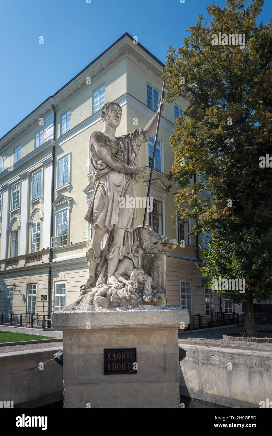 Fontaine Adonis sur la place Rynok - construite vers 1810 - Lviv, Ukraine Banque D'Images